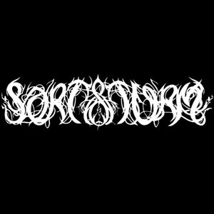 Avatar for SORT STORM