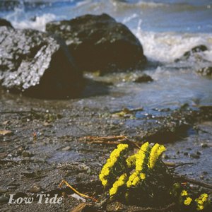 Low Tide