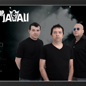 Avatar de Pop Javali