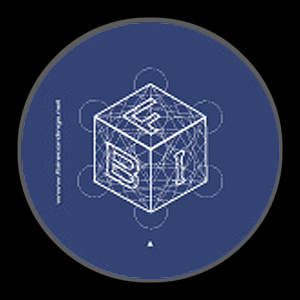 The Principles by Morphogenetic