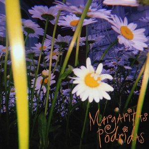Margaritas Podridas