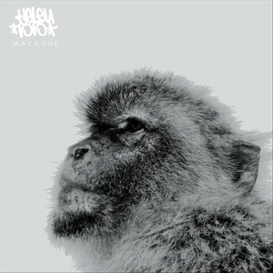 Macaque