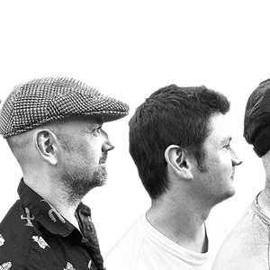 Avatar for Honeybear, the Band