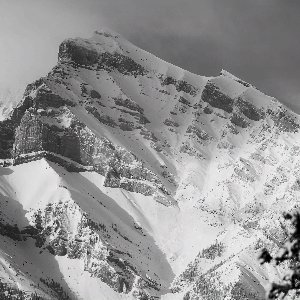 Snowblind