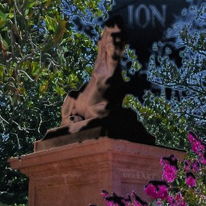 ION