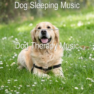 Avatar for Dog Therapy Music