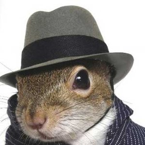 Avatar for Squirrel