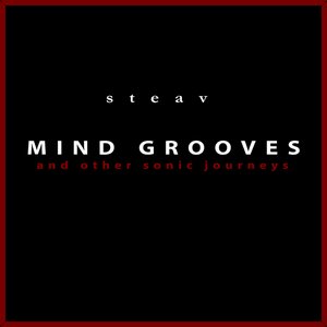 MIND GROOVES
