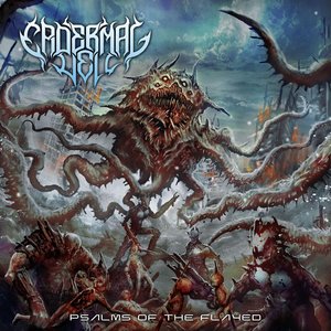 My Wish Your Veil Of Flesh
