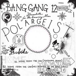 Avatar for Polargeist