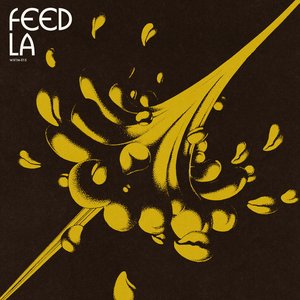 More Feed