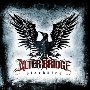 Blackbird (UK-OZ-NZ Version)