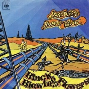 Human Glow / Üsküdarra