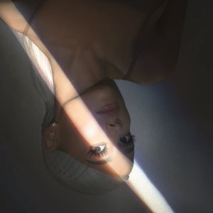 Avatar for Sweetener