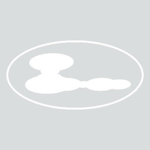 LanPage のアバター