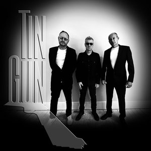 Avatar for Tin Gun