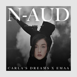 Okładka N-aud