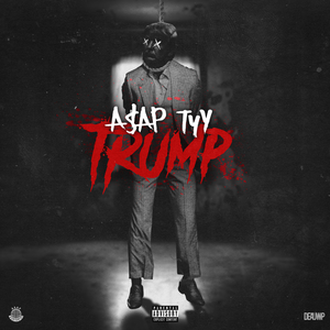 Trump album cover