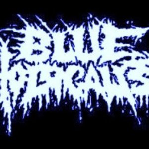 Avatar for Blue Holocaust