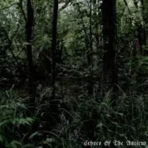 Avatar for Coven Of The Swamp