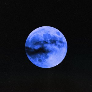 Moon Vector