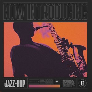 Now Introducing - Lo-fi Jazz Hop 2