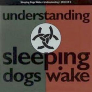 Understanding