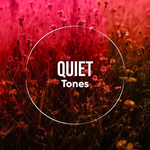 Avatar for Quiet Tones
