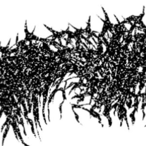 Avatar for Fetus Papyraceous