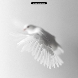 Phosphene, Vol. 2