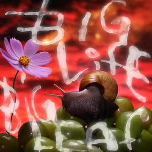 Big Life, Big Leaf