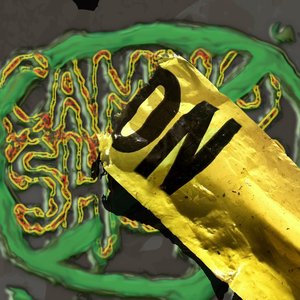 Avatar for Cammo Shorts