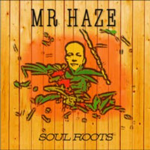 Avatar for Mr Haze Dub Project