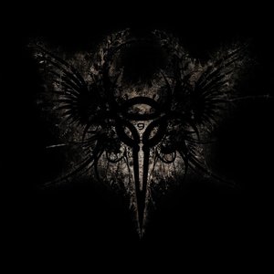 We The Fallen