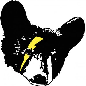 Avatar for Thundercub