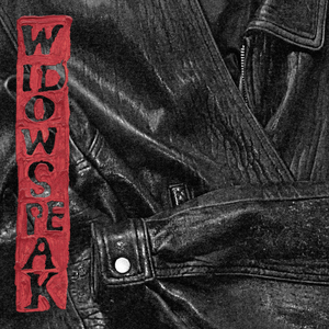 Widowspeak - The Jacket - Zortam Music