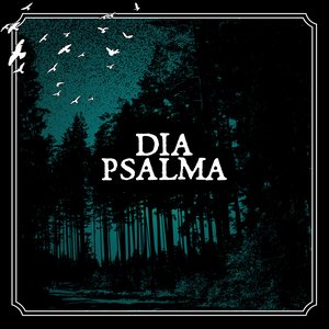 Djupa Skogen