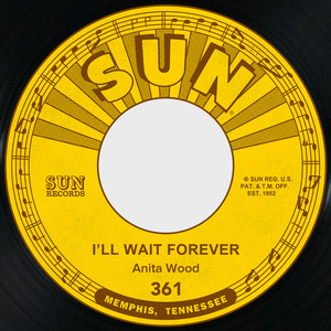 I'll Wait Forever / I Can't Show How I Feel album cover