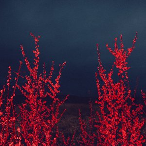 Craquements - Single