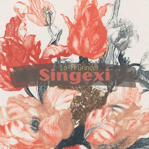 Avatar for Singexi