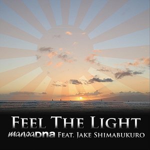 Feel the Light (feat. Jake Shimabukuro)