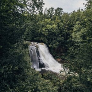 water your roots