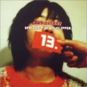 Spaceship Of 13. Flipper