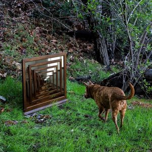 Mirror River - EP