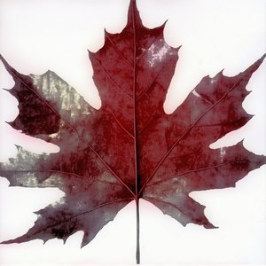Oh Canada