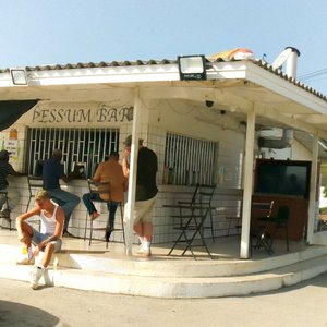 Þessum bar