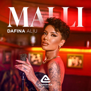 Malli 2024