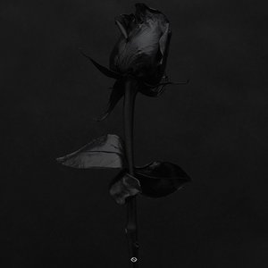 Promise Once More [Explicit]