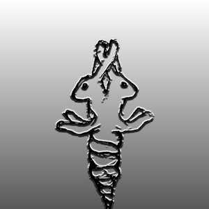 Avatar for Терапевтически Доказанные Зайцы