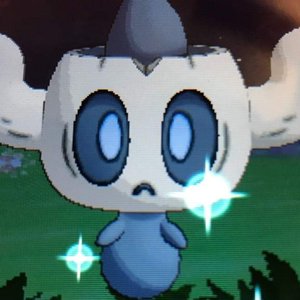 Avatar for qtae